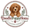 Doodle Puppy Home